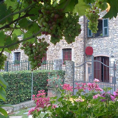 Вілла Agriturismo A Veggia Vigna Гарленда Екстер'єр фото