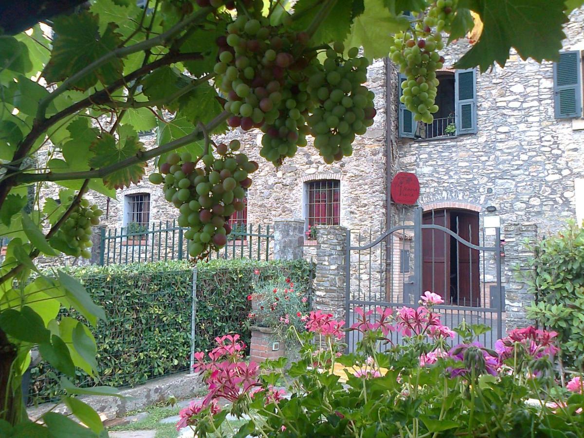 Вілла Agriturismo A Veggia Vigna Гарленда Екстер'єр фото